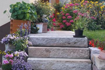 Photo 28