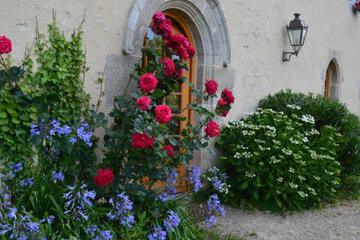 Photo 57