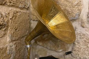 Photo 51