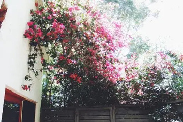 outside