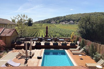 Vineyard view