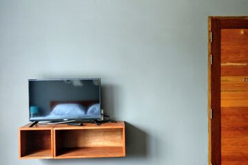 Television