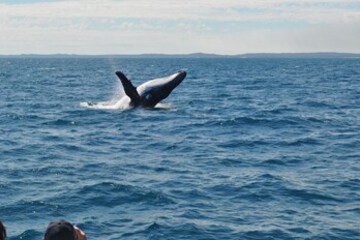 Children’s Activities