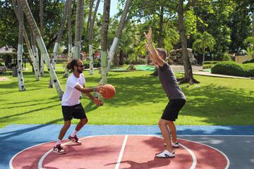 Basketball court