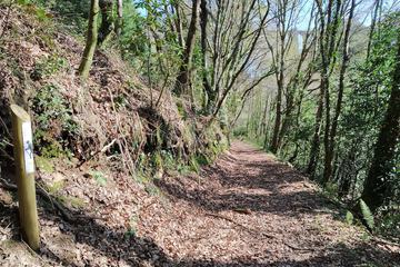 Hiking