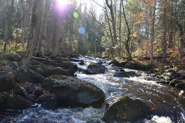 Hiking