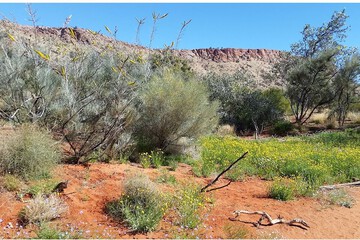 Land view from property