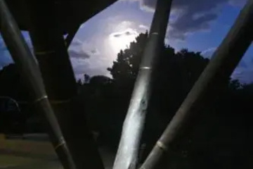 outside