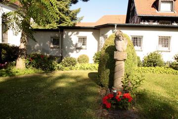 Photo 16