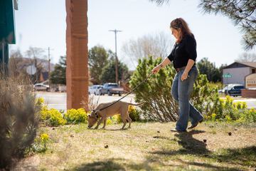 Pet Friendly 99 of 105