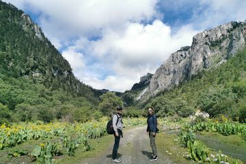 Hiking