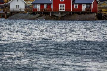 Photo 47