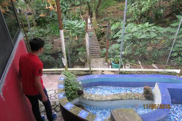 Photo 90