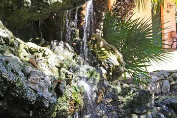 Fountain
