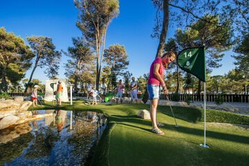 Mini-golf