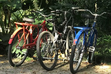 Bicycling