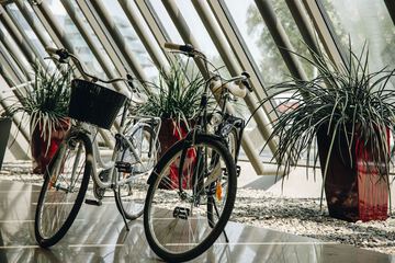 Bicycling
