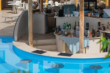 Swim-up bar