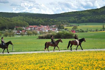 Horseback riding