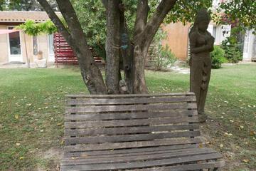 Photo 54