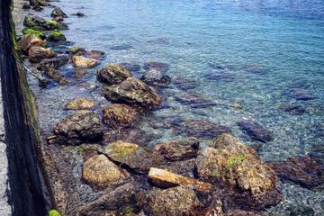 Photo 47