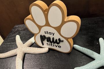 Pet-friendly amenities