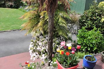 Photo 23