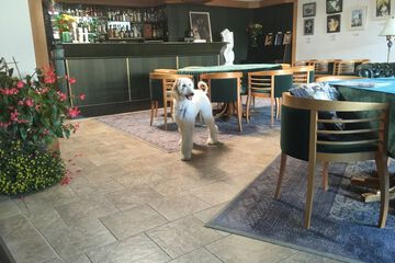 Pet-friendly