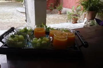 meal