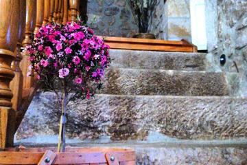Photo 67