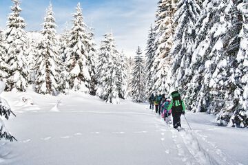 Snow and ski sports