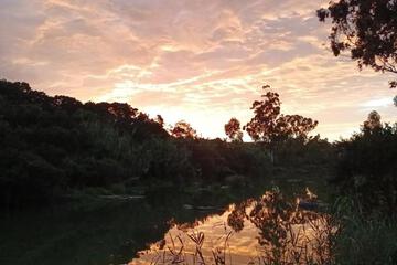 Photo 42