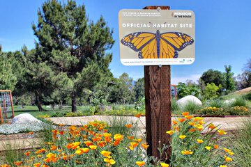 Children's activities