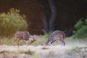 Ecotours