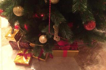 Photo 48