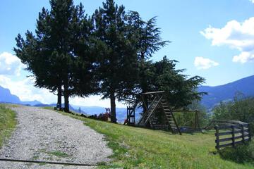 Photo 36