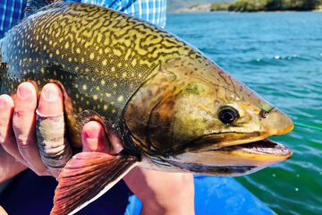 Fishing