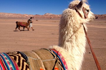 Ecotours