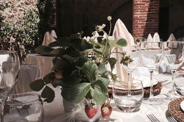 Outdoor wedding area