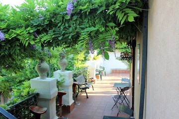 Garden view