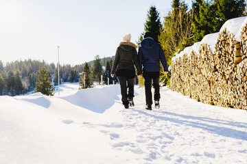 Snowshoeing