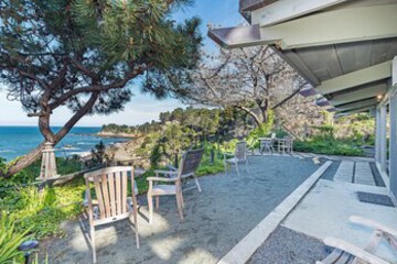 Terrace or Patio