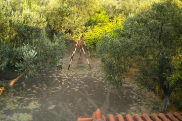 Photo 39
