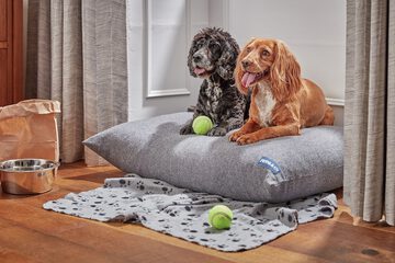 Pet-friendly
