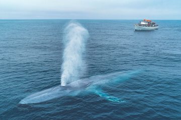 Water Sports 81 of 83