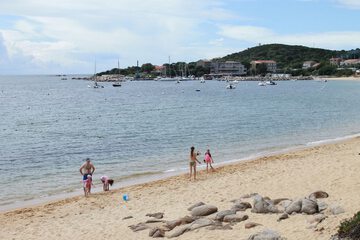 Beach
