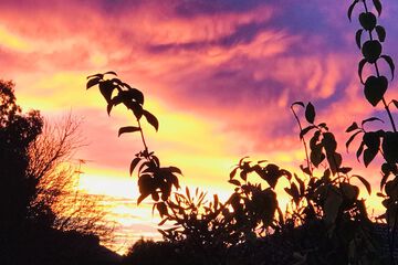 Land view from property