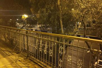Photo 50