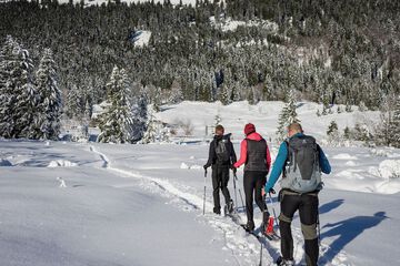Snowshoeing