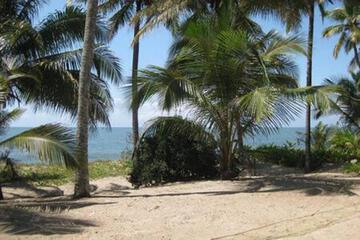 Photo 28